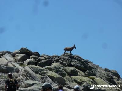 La Mira - Los Galayos (Gredos);fiesta almudena viajes en verano grupos de senderismo en madrid